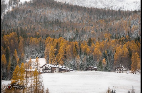 Cortina d'Ampezzo Historic Centre Apartment | Studio apartment 2 beds - 025016-LOC-01433