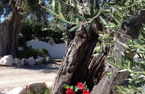 Peschici Condo | STUDIO APARTMENT 2/3 BEDS WITH PANORAMIC VIEW TOWARDS THE SEA