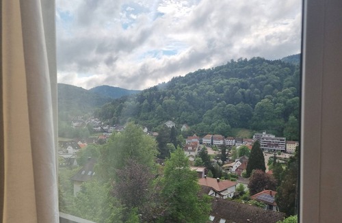 Bad Herrenalb Apartment | Studio Apartment for Contractors with Mountain View, Shared Pool and Wi-Fi