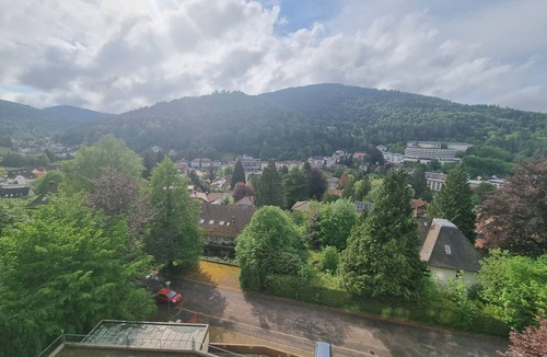 Bad Herrenalb Apartment | Studio Apartment for Contractors with Mountain View, Shared Pool and Wi-Fi