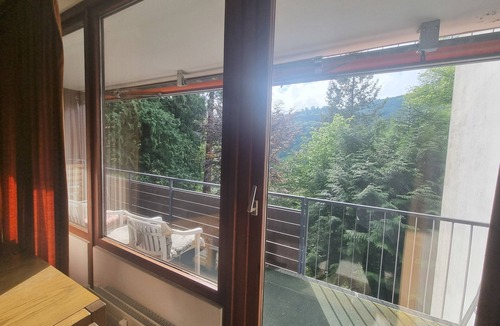 Bad Herrenalb Apartment | Studio Apartment for Contractors with Mountain View, Shared Pool and Wi-Fi