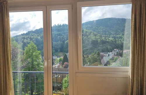 Bad Herrenalb Apartment | Studio Apartment for Contractors with Mountain View, Shared Pool and Wi-Fi
