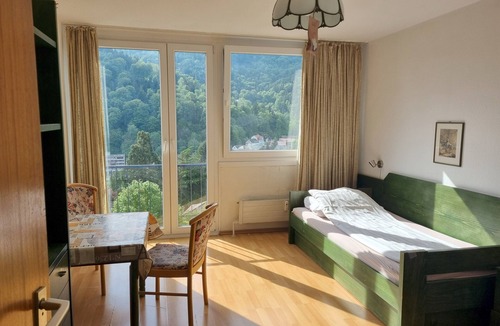 Bad Herrenalb Apartment | Studio Apartment for Contractors with Mountain View, Shared Pool and Wi-Fi