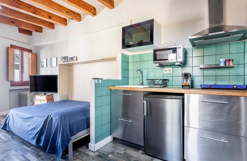 Barrio del Carmen Apartment | Studio Apartment 'Estudio 4 Centro Histrico Valencia' with Garden and Air Conditioning