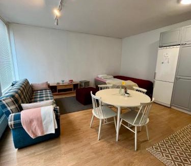 Parkano Apartment | Studio apartment