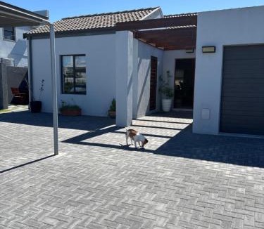 Bloubergstrand House | Studio Apartment in Cape Town