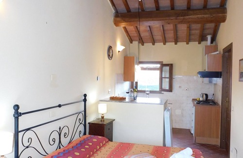 Terricciola Other | Studio apartment in farmhouse with wine production