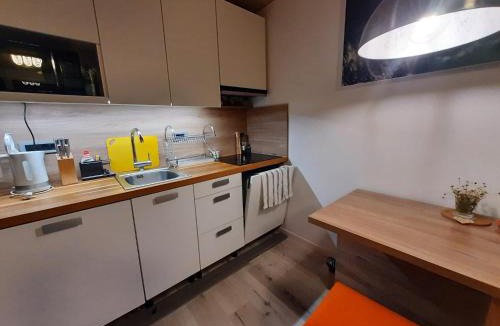 Bovec Apartment | Studio Apartment Jež