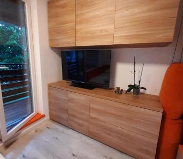 Bovec Apartment | Studio Apartment Jež