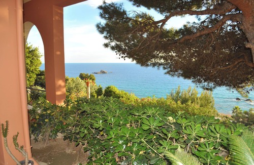 Parelia Apartment | Studio Apartments With Large Swimming Pool and Sea View at Pelekas Beach Corfu
