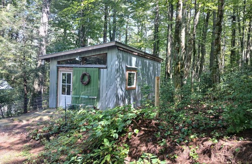 Newland Apartment | Studio at Cold Springs Cabin for two, hikers delight, next to the Pisgah Forest