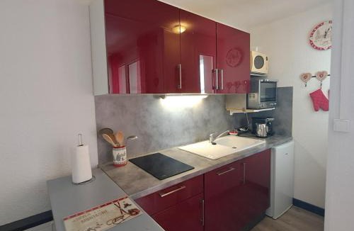 Mont-de-Lans Apartment | Studio avec animaux admis - 3 pers. - FR-1-516-228