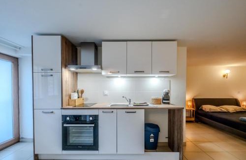 Thonon-les-Bains Apartment | Studio Bacchus