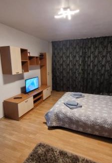 Singeorgiu de Mures Apartment | Studio BDN