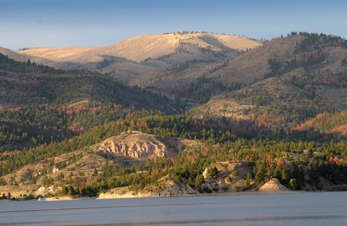 Helena Cabin | Studio Cabin with Big Canyon Ferry Lake Views
