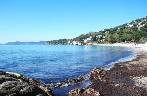 Le Lavandou Apartment | Studio cabine avec terrasse et parking, à 250 m de la plage d'Aiguebelle, Le Lavandou - FR-1-251-187