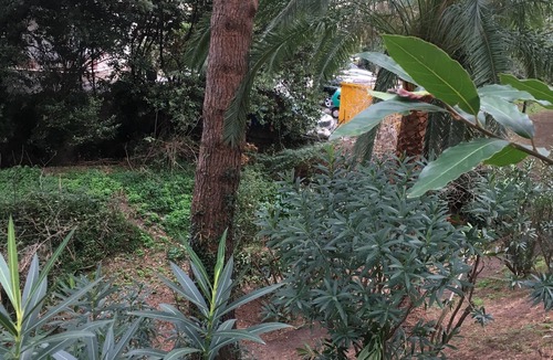 La Croix des Gardes Apartment | Studio Cannes .