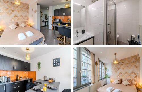 Saint-Roch - Badouillere - Chavanelle Apartment | Studio Caucase - Centre-ville Saint Étienne proximité parking