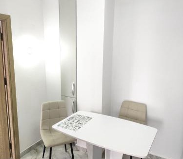 Tirgu Jiu Apartment | Studio Central Brancusi