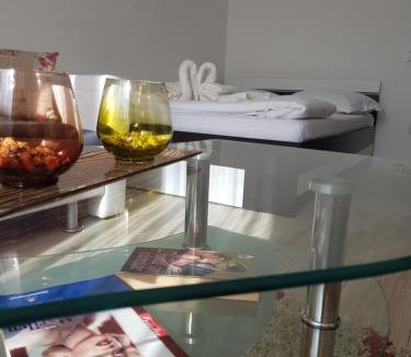Piatra Neamt Apartment | Studio Central