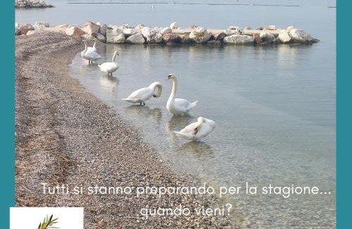 Pacengo Apartment | Studio Centrale Pacengo di Lazise