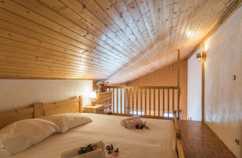Chamonix City Centre Apartment | Studio Chamonix 5 pers, balcon, parking, animaux ok - FR-1-517-45
