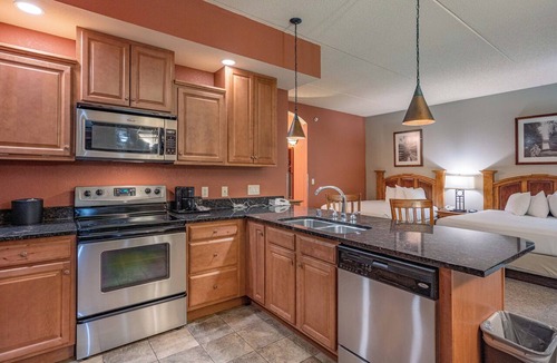 Wisconsin Dells Condo | Studio Condo - 3 Beds - Waterpark ALWAYS INCLUDED; Dog Friendly Resort!
