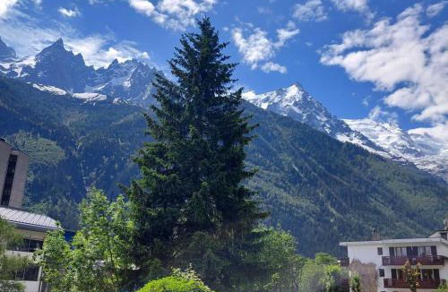 Chamonix City Centre Apartment | Studio cosy à Chamonix - Animaux admis, parking privé - FR-1-517-21