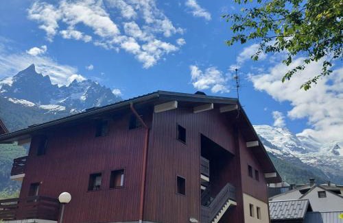 Chamonix City Centre Apartment | Studio cosy à Chamonix - Animaux admis, parking privé - FR-1-517-21