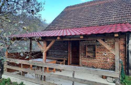 Turnu Ruieni House | Studio cu bucatarie , baie , scara interioara , etaj cu dormitor openspace , curte cu grill, terasa