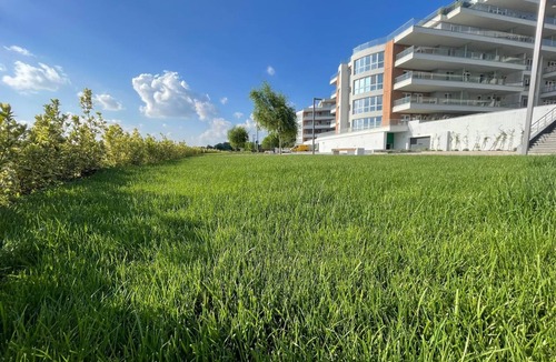 Pantelimon Apartment | Studio cu vedere la Lebada Lake