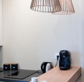 Yves Farge - Le Fleuve Apartment | Studio Design Paloma Dark