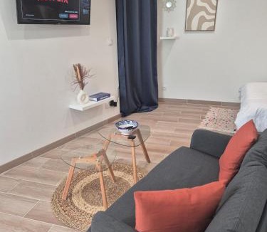 Faubourg Sud Apartment | Studio Dijon centre et facultés