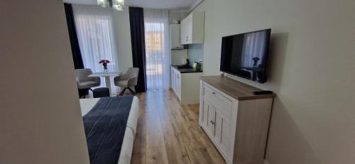 Baia Mare Apartment | Studio Ema