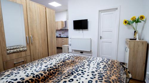 Deva Apartment | studio Emilia