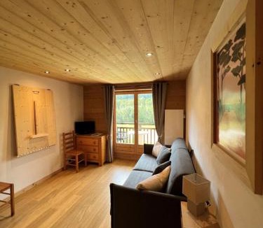 Praz-sur-Arly Apartment | Studio face aux pistes