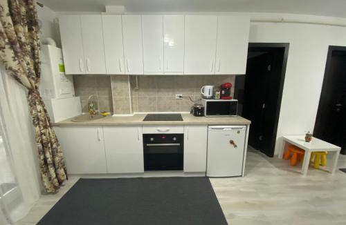 Sinpetru Apartment | Studio Felicia