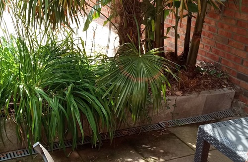 Weseloh Apartment | Studio for 2 to 3 persons with terrace, playground and 16 fishing ponds