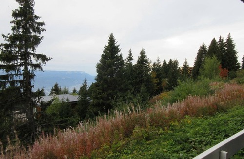 Chamrousse Apartment | Studio for 3 at the foot of the slopes, pets accepted