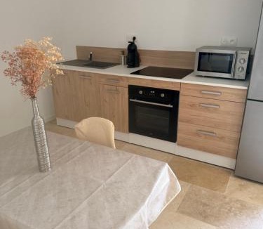 Chateau-Arnoux-Saint-Auban Apartment | Studio avec terrasse et parking privé