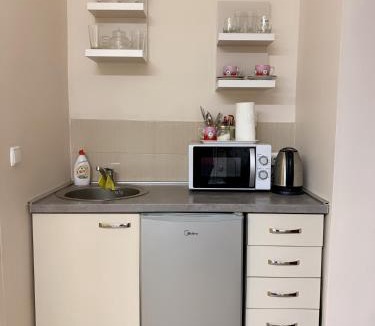 Satu Mare Apartment | Studio Gaby