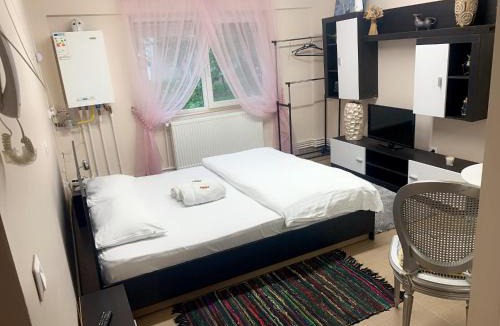 Satu Mare Apartment | Studio Gaby