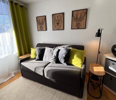 Chamonix City Centre Apartment | Studio Green Apple in Chamonix Centre, Parking, Ski Access