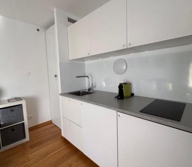 Chamonix City Centre Apartment | Studio Green Apple in Chamonix Centre, Parking, Ski Access