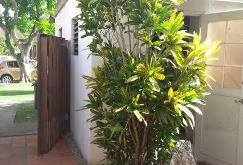 Warners Apartment | Studio Hassel Free