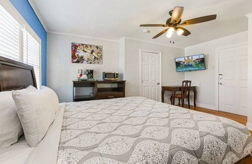 Mid-City Hotel | Studio in NOLA’s Mid-City | Near It All