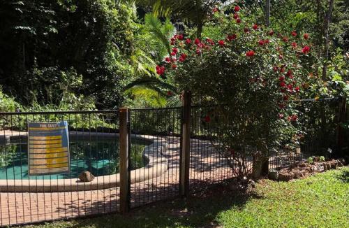 Kuranda Apartment | Studio in the Rainforest