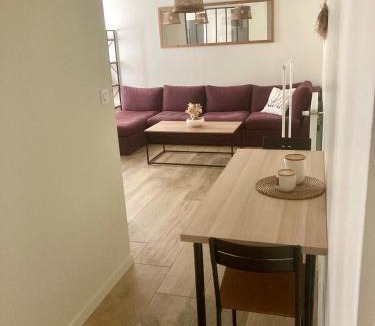 Andrezieux-Boutheon Apartment | Studio indépdendant dans un parc verdoyant avec piscine