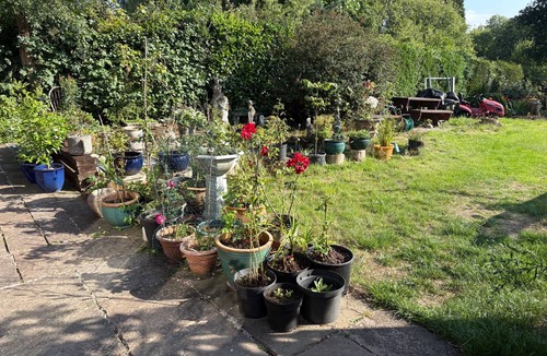 Cleedownton Apartment | Studio-LickeyHills-NearAttractions-Garden-1 Pet Ok