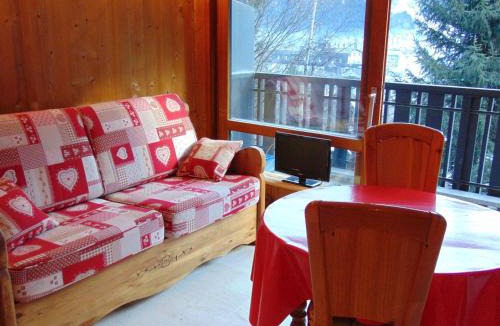 Chamonix City Centre Apartment | Studio lumineux 3 pers, animaux admis, parking - FR-1-517-27